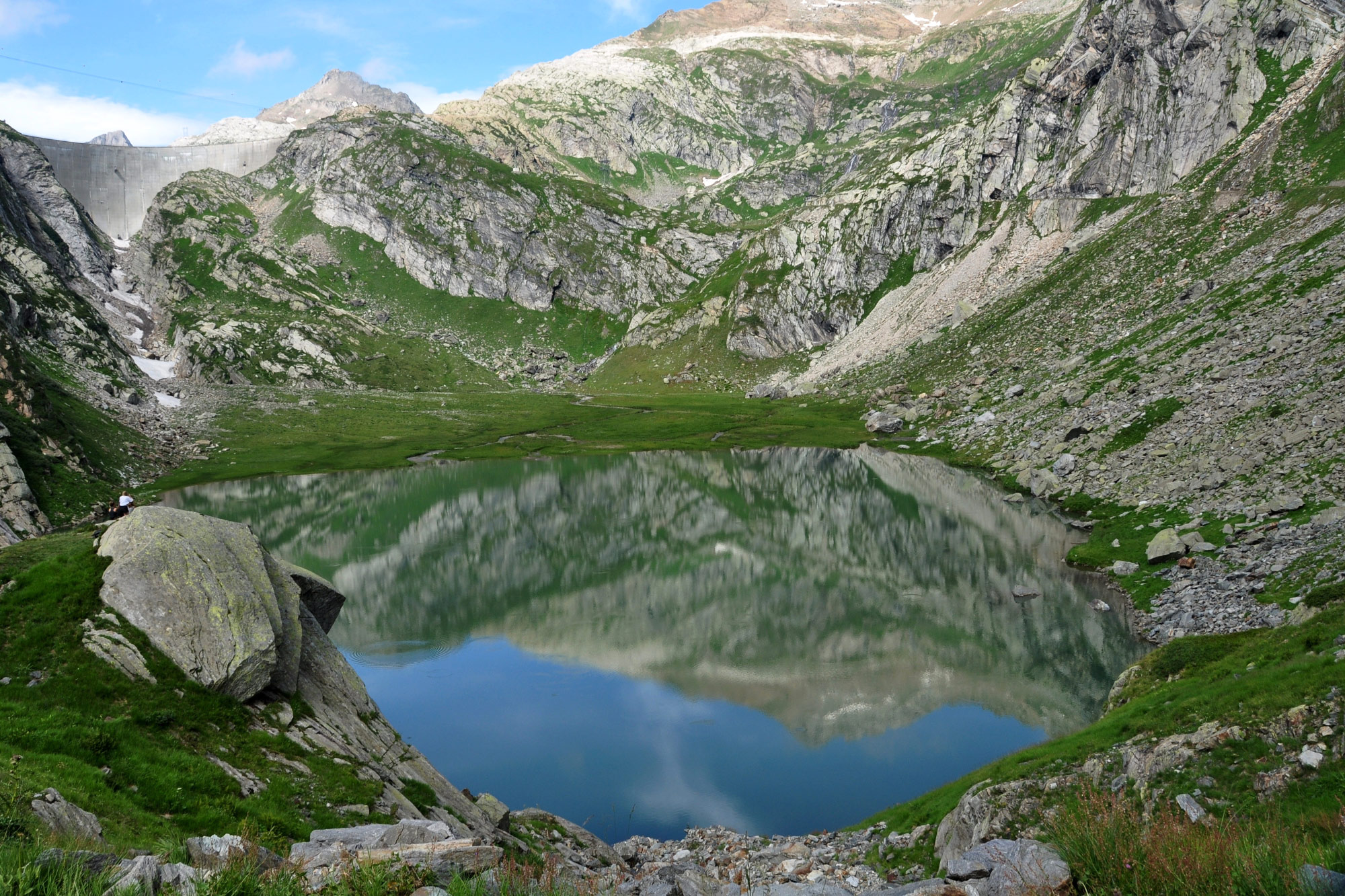 Robiei